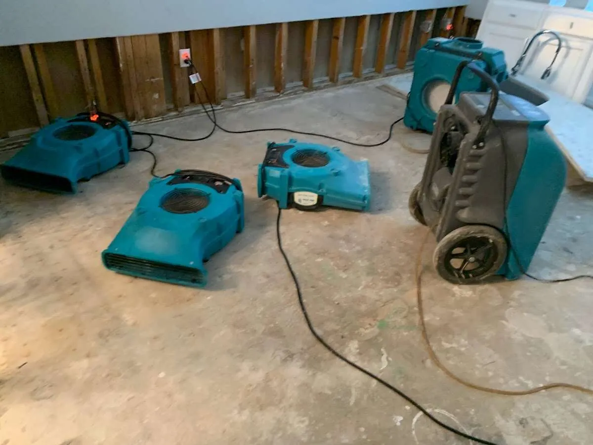 Water Damage Restoration services in Harrison, TN